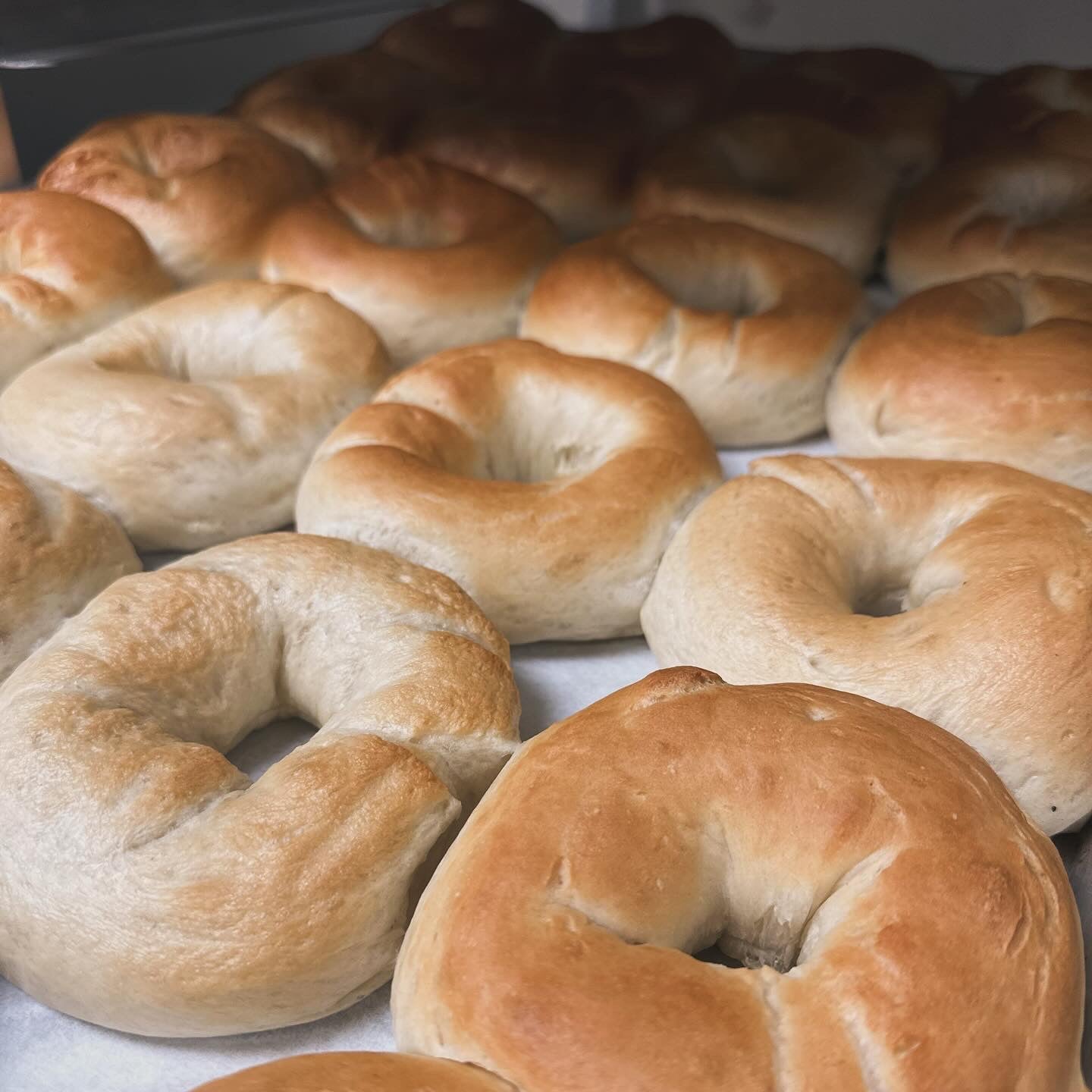 Our Style Artisan Bagels