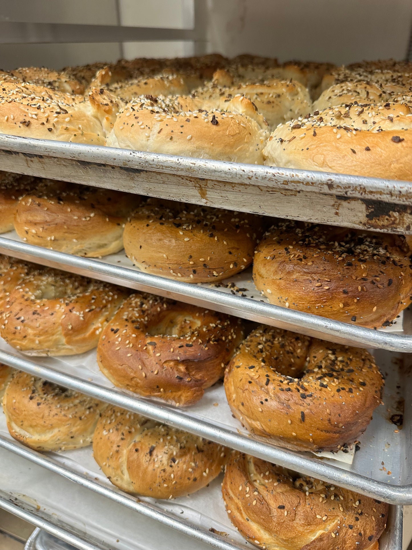 Artisan Bagels - OurStyle